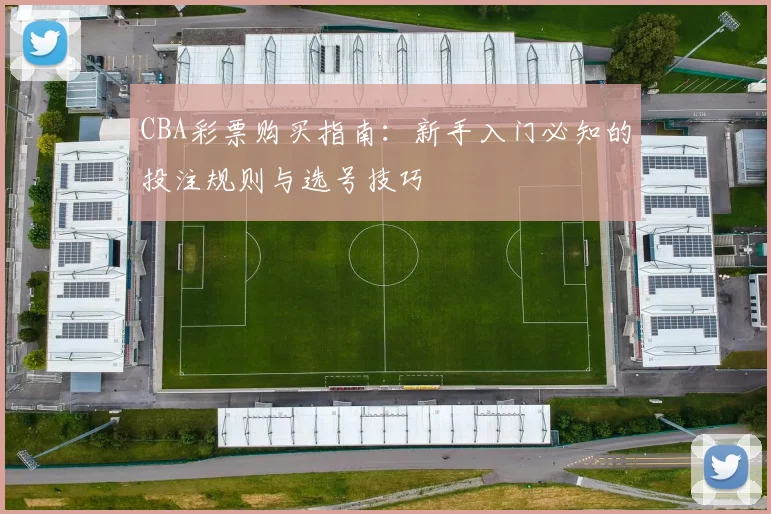 CBA彩票购买指南：新手入门必知的投注规则与选号技巧