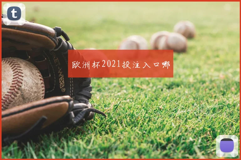 欧洲杯2021投注入口哪