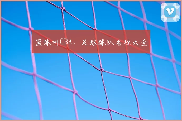 篮球叫CBA，足球球队名称大全