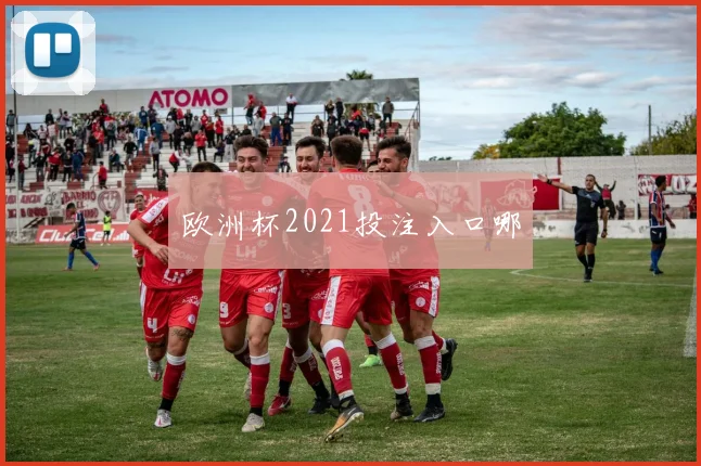 欧洲杯2021投注入口哪