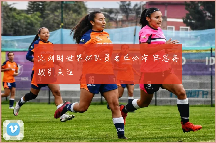 比利时世界杯队员名单公布 阵容备战引关注