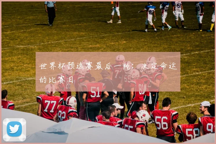 世界杯预选赛最后一轮：决定命运的比赛日
