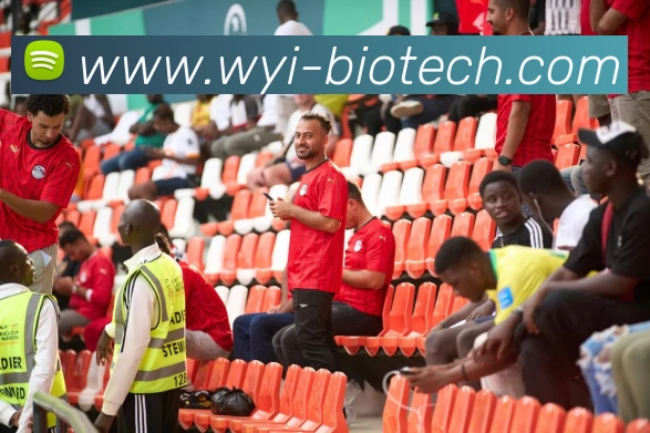 App Interface Preview